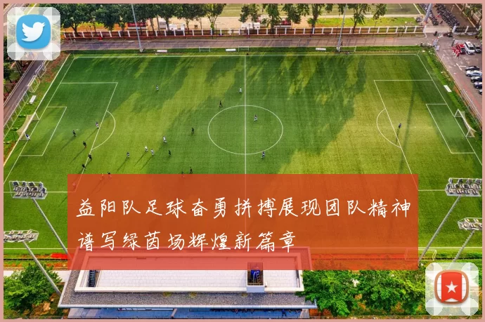 益阳队足球奋勇拼搏展现团队精神谱写绿茵场辉煌新篇章