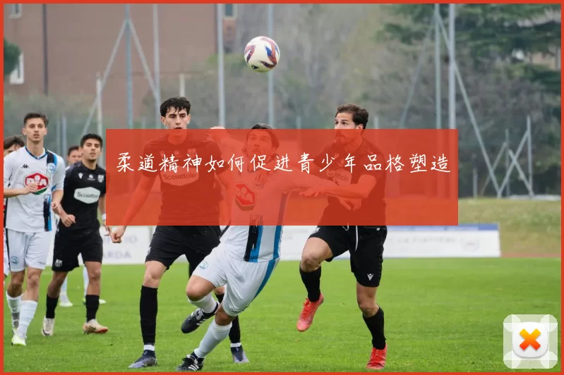 柔道精神如何促进青少年品格塑造