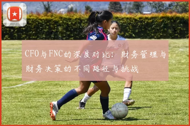 CFO与FNC的深度对比：财务管理与财务决策的不同路径与挑战