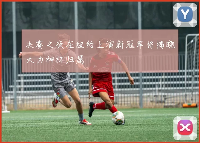 决赛之夜在纽约上演新冠军将揭晓大力神杯归属