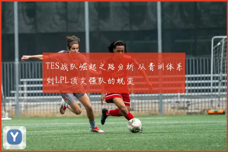 TES战队崛起之路分析 从青训体系到LPL顶尖强队的蜕变