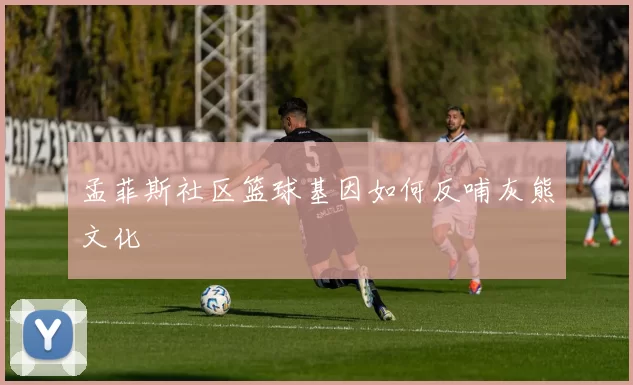 孟菲斯社区篮球基因如何反哺灰熊文化